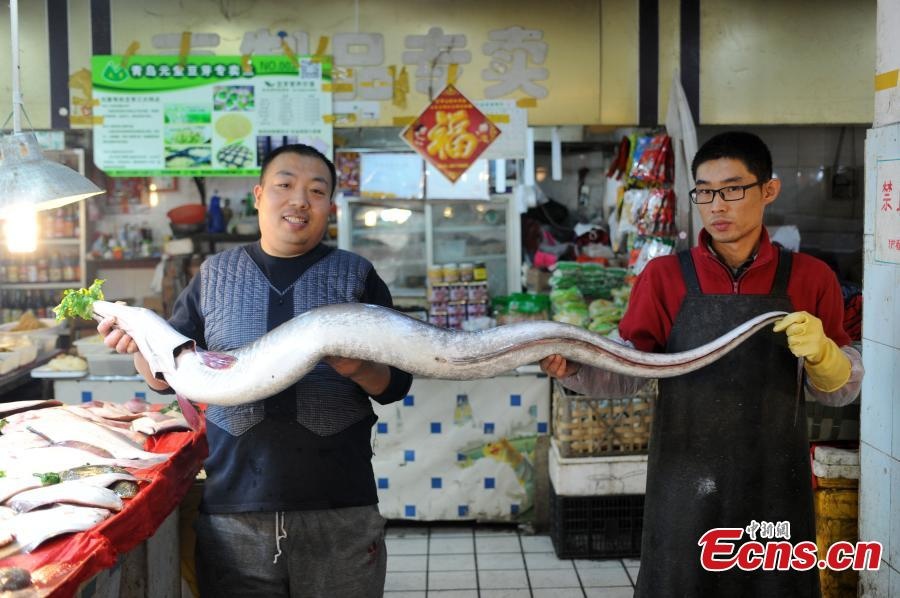 Luon co chieu dai gan 2 m lo dien tai Trung Quoc hinh anh