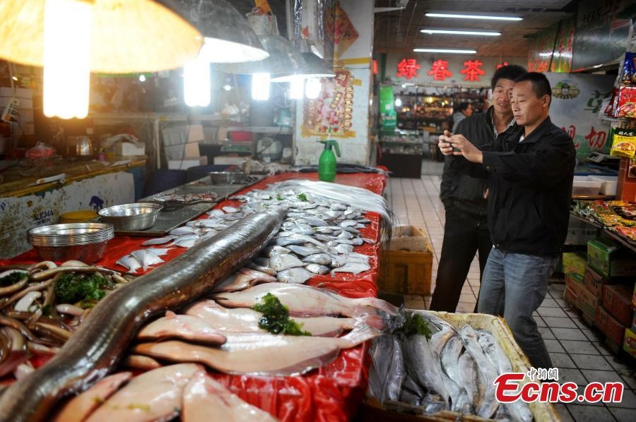 Khối lượng của con lươn biển lên tới 22.5 kg.