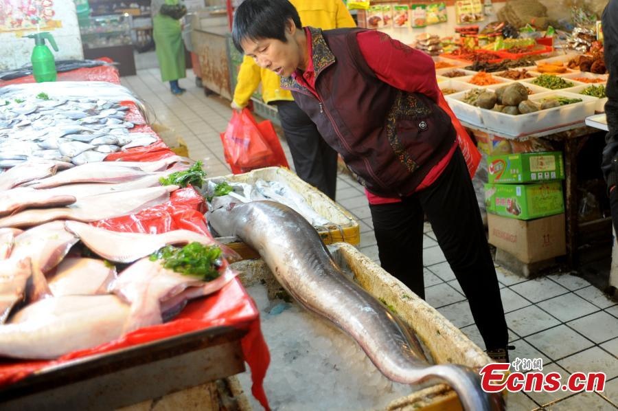 Một con lươn biển tại chợ cá ở thành phố Thanh Đảo, tỉnh Sơn Đông, Trung Quốc hôm 27/10