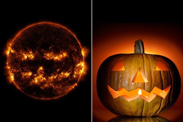 Hinh anh ngo nghinh cua mat troi truoc le hoi Halloween hinh anh