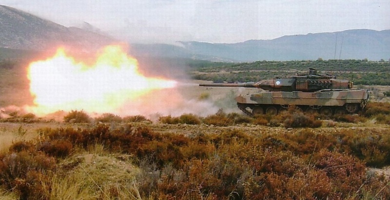 Dan vu khi bo binh dang so cua Duc hinh anh