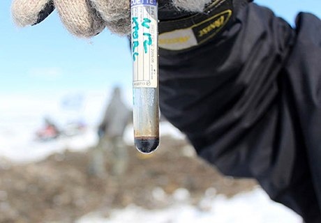 Chuyen gia lay mau tu xac voi ma mut Yuka hinh anh