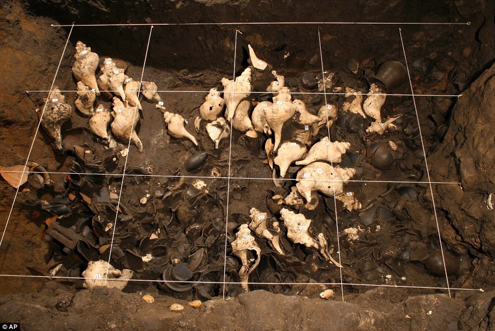 Những vỏ sò, ốc trong đường hầm.