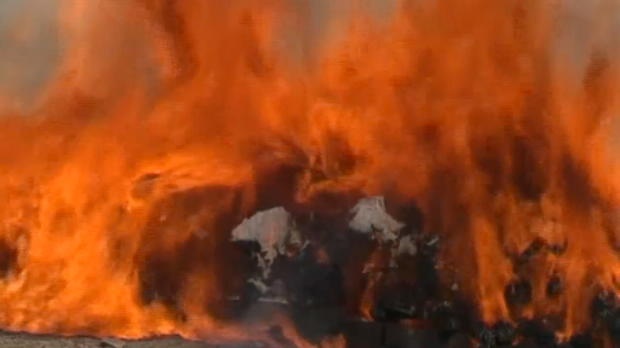 Canh tuong hon 20 tan ma tuy bien thanh tro hinh anh