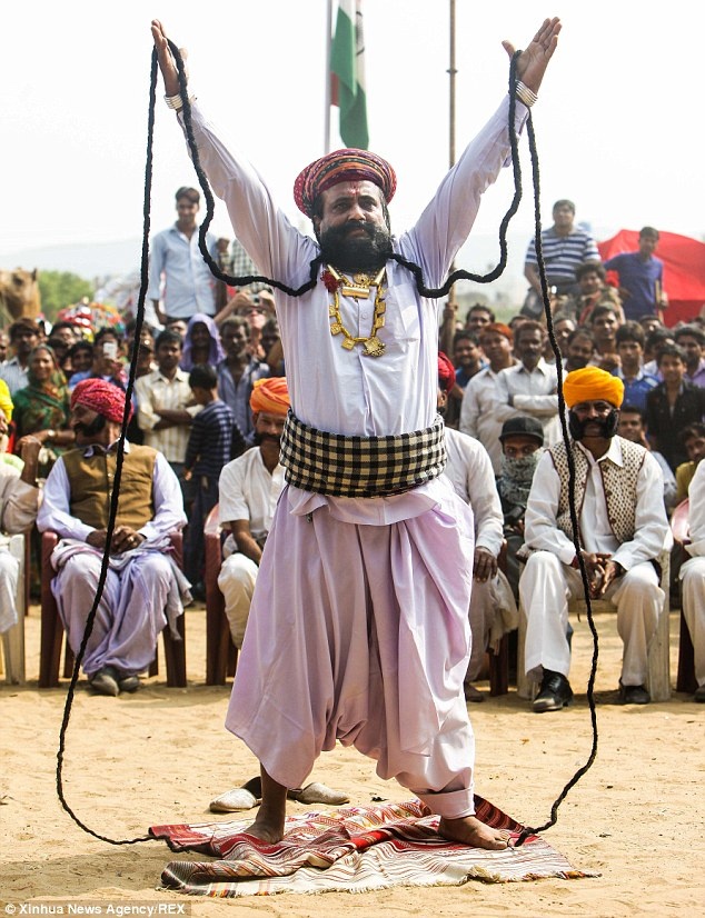 Cuoc tranh tai cua cac quy ong co rau dai nhat the gioi hinh anh