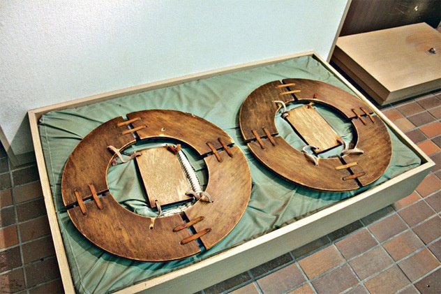 Người ta cho rằng ninja sử dụng Mizu-Gumo để đi trên mặt nước. Ảnh: ayakashi-ghost-guild.wikia.com