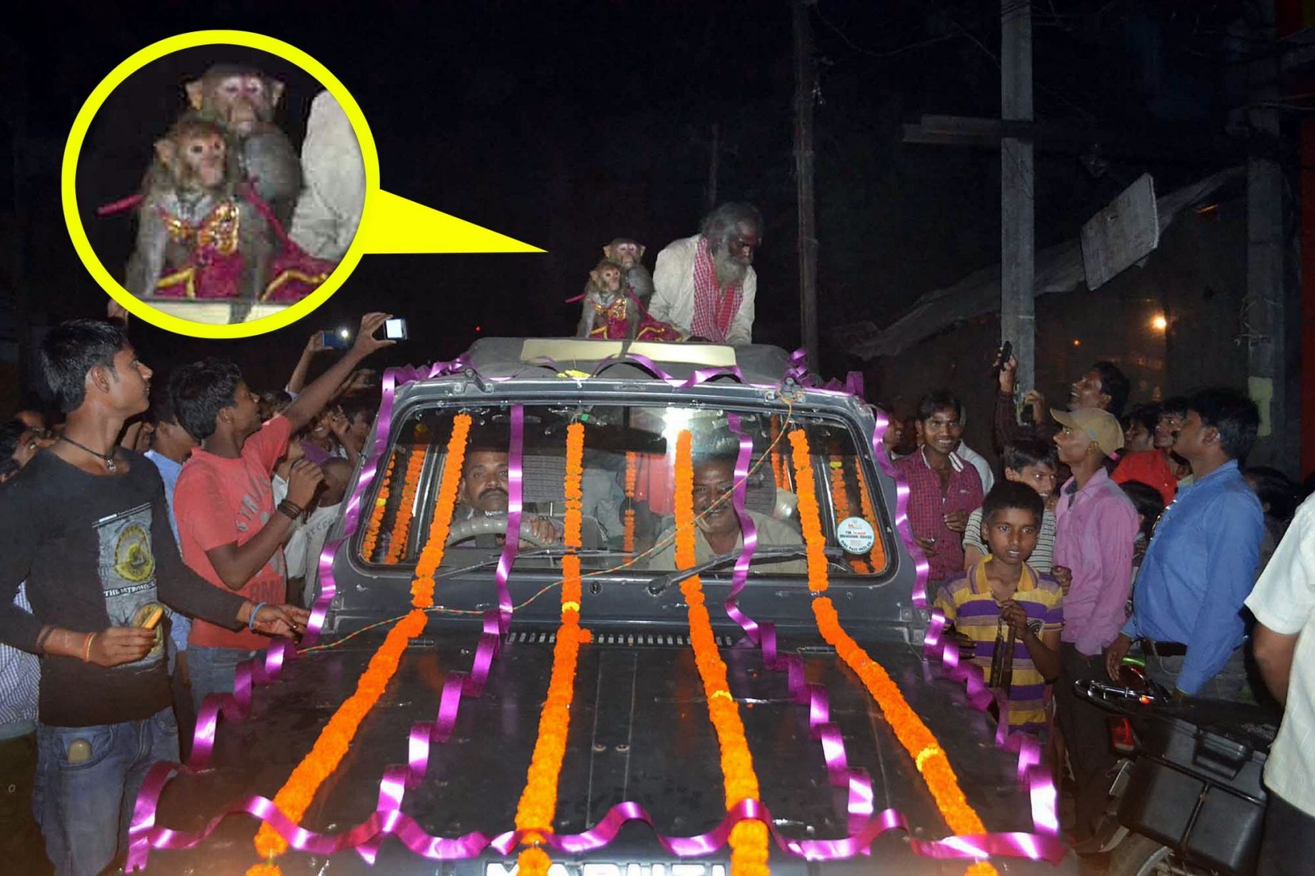 Udesh Mahto, một người đàn ông ở thành phố Bettiah, bang Bihar, Ấn Độ, đã tổ chức lễ cưới long trọng cho hai con khỉ cưng là Ramdulari và Ramu. Cả 3 ngồi trên nóc chiếc SUV, diễu hành qua các đường phố chật hẹp. Mahto mời một linh mục Hindu làm chủ hôn, Mirror cho hay.