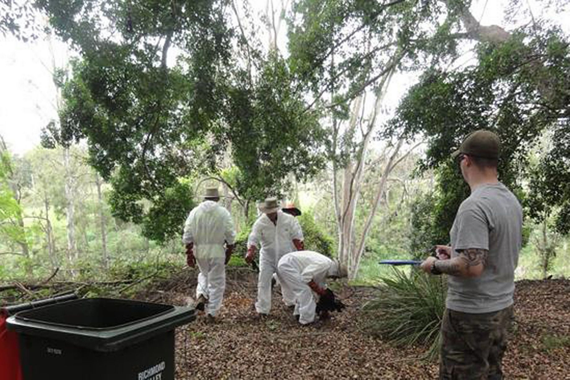 Mặc dù vậy, nhiều người yêu dơi vẫn vào rừng để cứu những con sống sót. Họ phụn nước lạnh để giúp chúng chống nóng.
