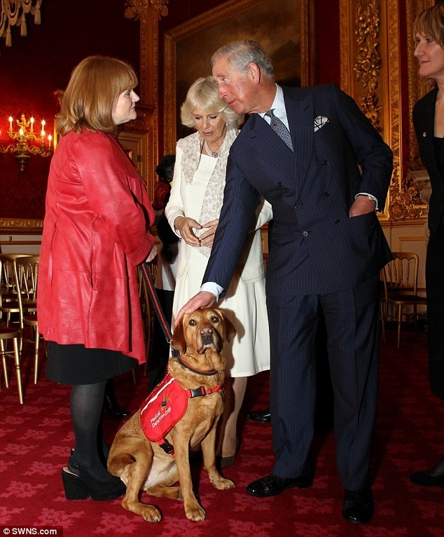 Tiến sĩ Claire Guest dẫn Daisy gặp mặt Thái tử Charles và bà Camilla. Ảnh: SWNS