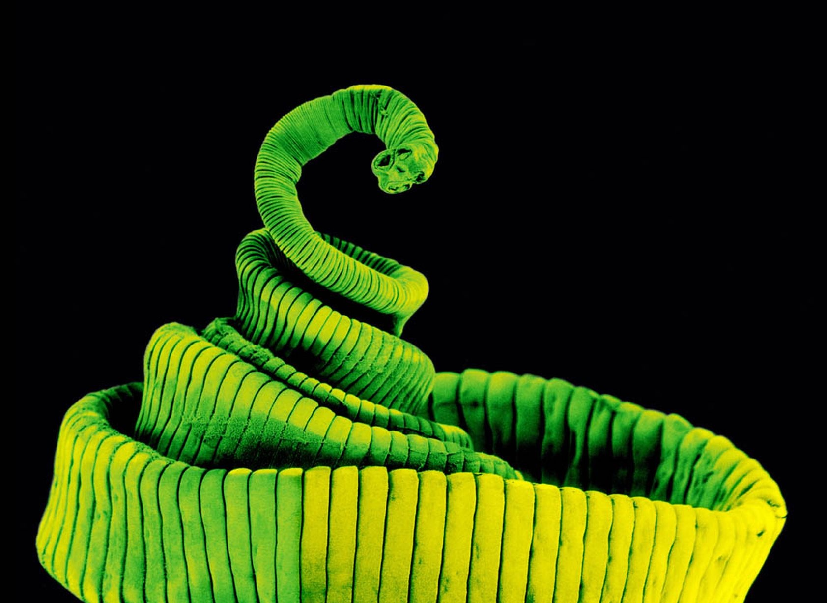 San song trong dau nguoi 4 nam hinh anh