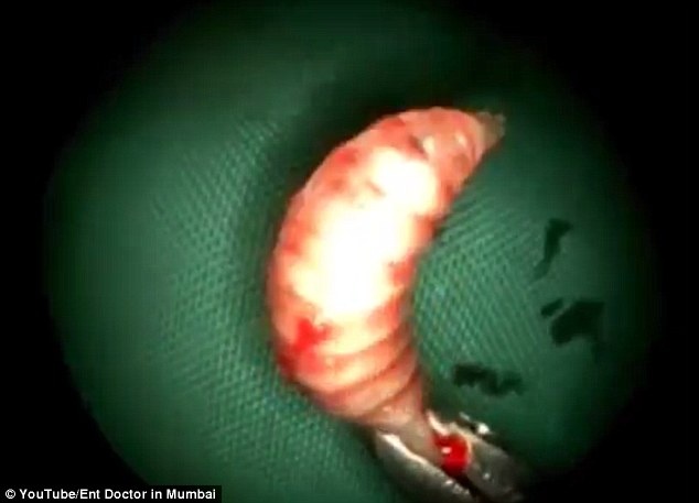 50 con gioi an nau trong mui nguoi dan ong An Do hinh anh