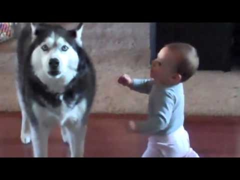 Cuoc doi thoai vui nhon giua em be va con cho hinh anh