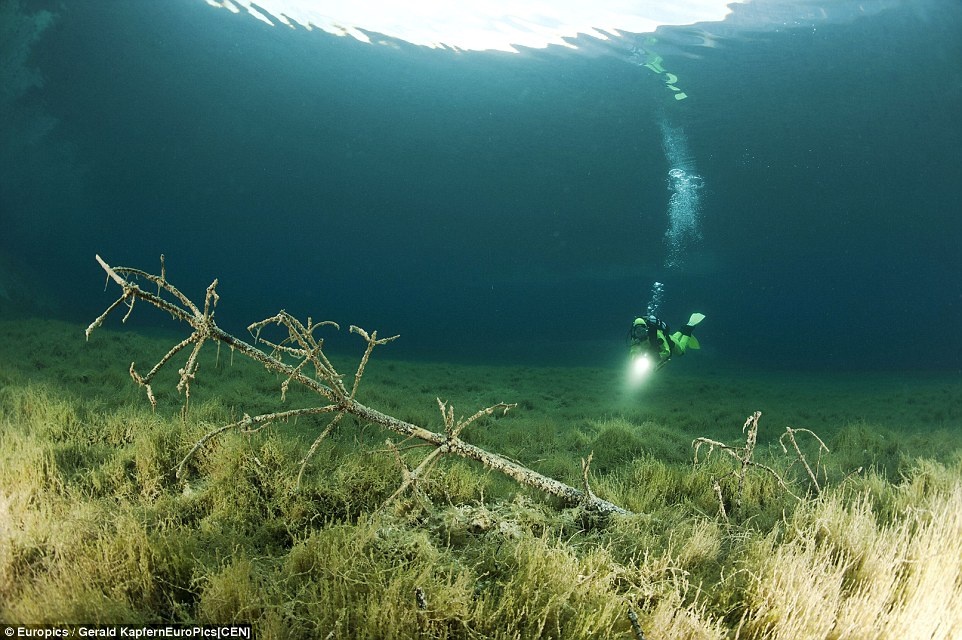 Cong vien ngap duoi nuoc hinh anh