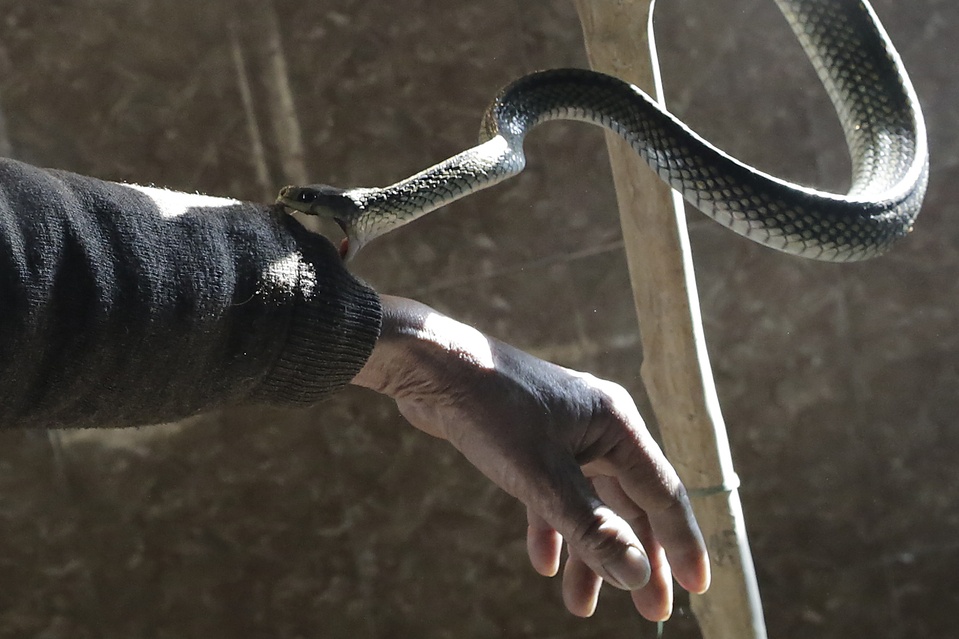 Nhân viên trong Bảo tàng