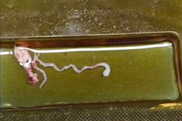 San nhai song trong nao cau be 11 tuoi hinh anh