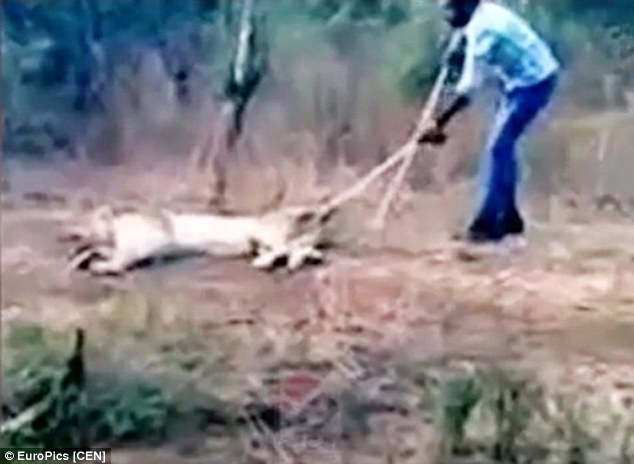 Nong dan An Do cam duoi, choc gay vao su tu bi thuong hinh anh