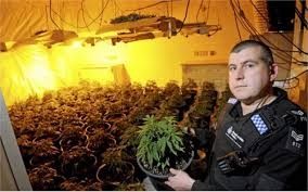 Nguoi Viet bi bat o Anh vi lam viec cho nha may can sa hinh anh