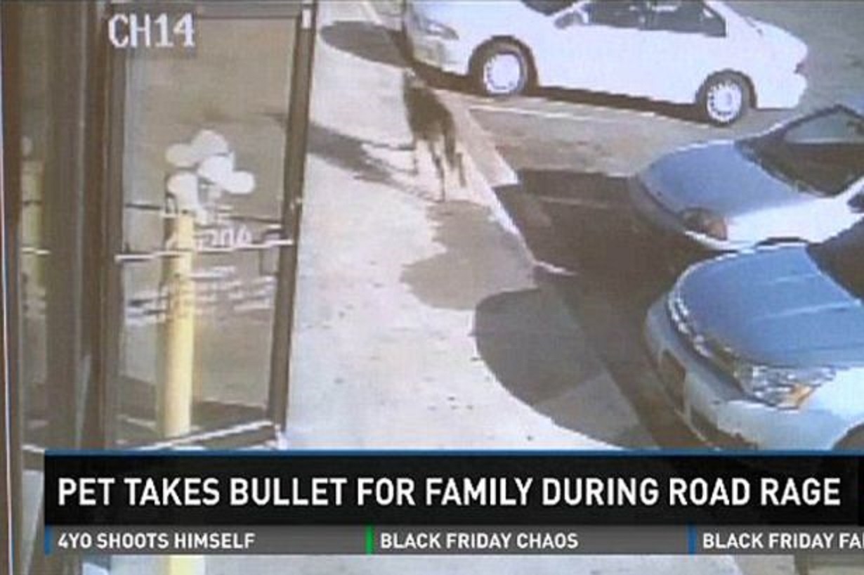 Cho dung cam chan dan thay chu hinh anh