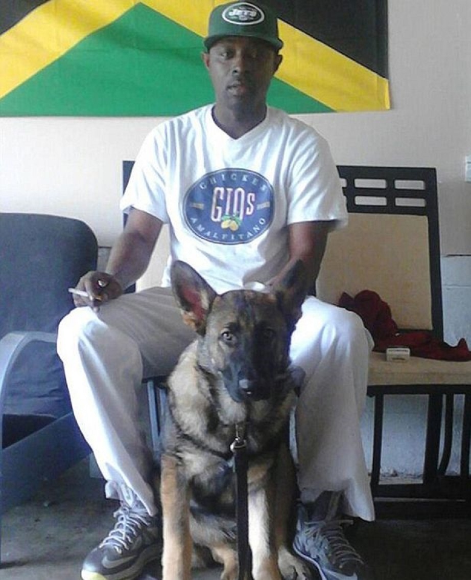 Chú chó dũng cảm Noah bên cạnh chủ. Ảnh: Mirror