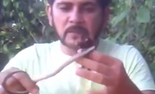 Nguoi dan ong nhet nhen khong lo va ran vao mom hinh anh