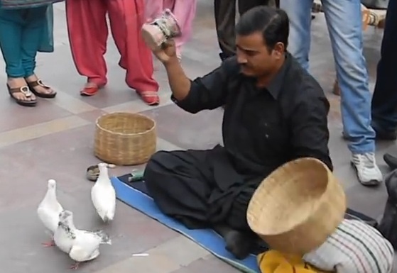 Ao thuat gia 'niem chu' de bien khong khi thanh bo cau hinh anh