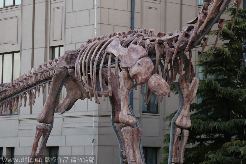 Bắc Kinh là địa điểm đầu tiên trong cuộc triển lãm toàn quốc mô hình khủng long khổng lồ.