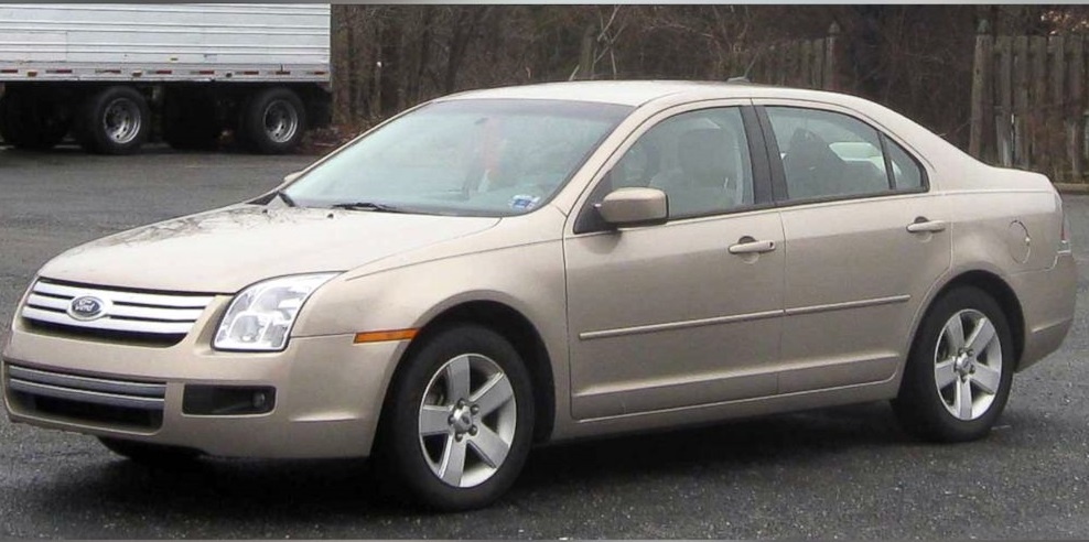 Vo chong boa xe hoi cho boi ban hinh anh