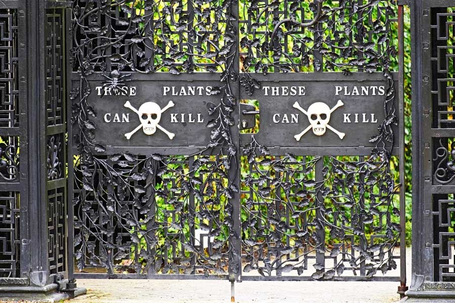 Canh dep trong khu vuon nguy hiem nhat the gioi hinh anh