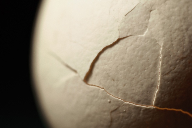 Vỏ trứng chứa các chất gây kích ứng mắt, mũi, hệ hô hấp là công cụ hỗ trợ đặc biệt khi ninja cần tấn công hay tẩu thoát.