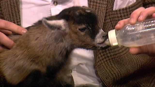 De con gay sot cong dong mang hinh anh