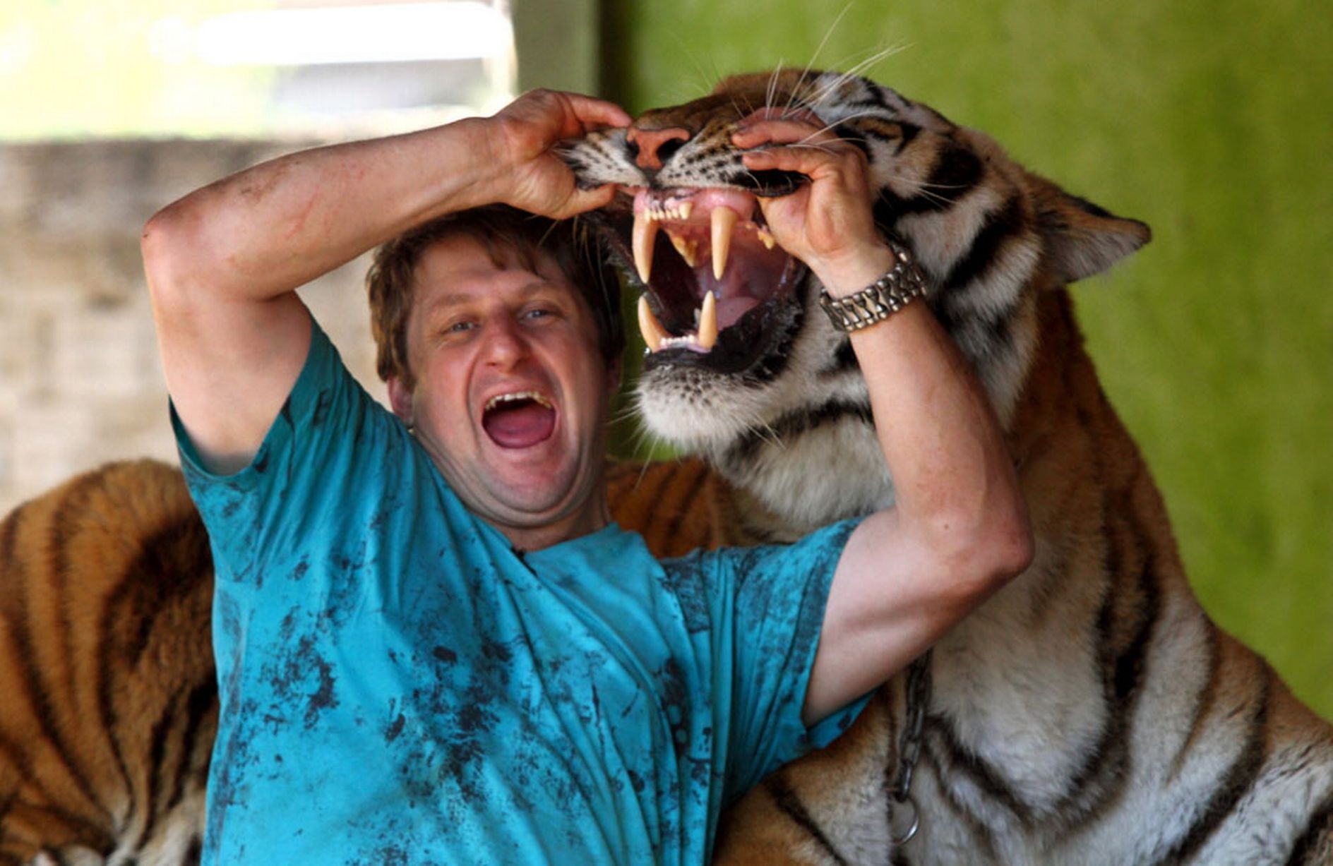 “Tôi không bao giờ lo lắng về việc những đứa con sống chung với những con hổ. Bạn phải thể hiện cho chúng thấy sự tôn trọng và tình yêu thương và chúng sẽ đối xử với bạn như vậy”, Ary nói.