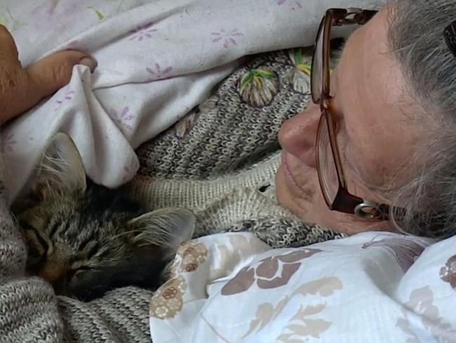 Dan ngu nhu chet vai ngay trong lang gan mo uranium hinh anh