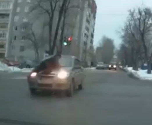 Xe cua toi pham phong bat mang voi canh sat tren ca-po hinh anh