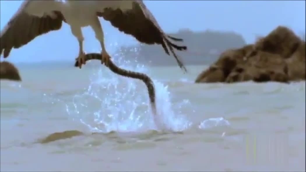 Ran bien chong cu dai bang tren khong hinh anh