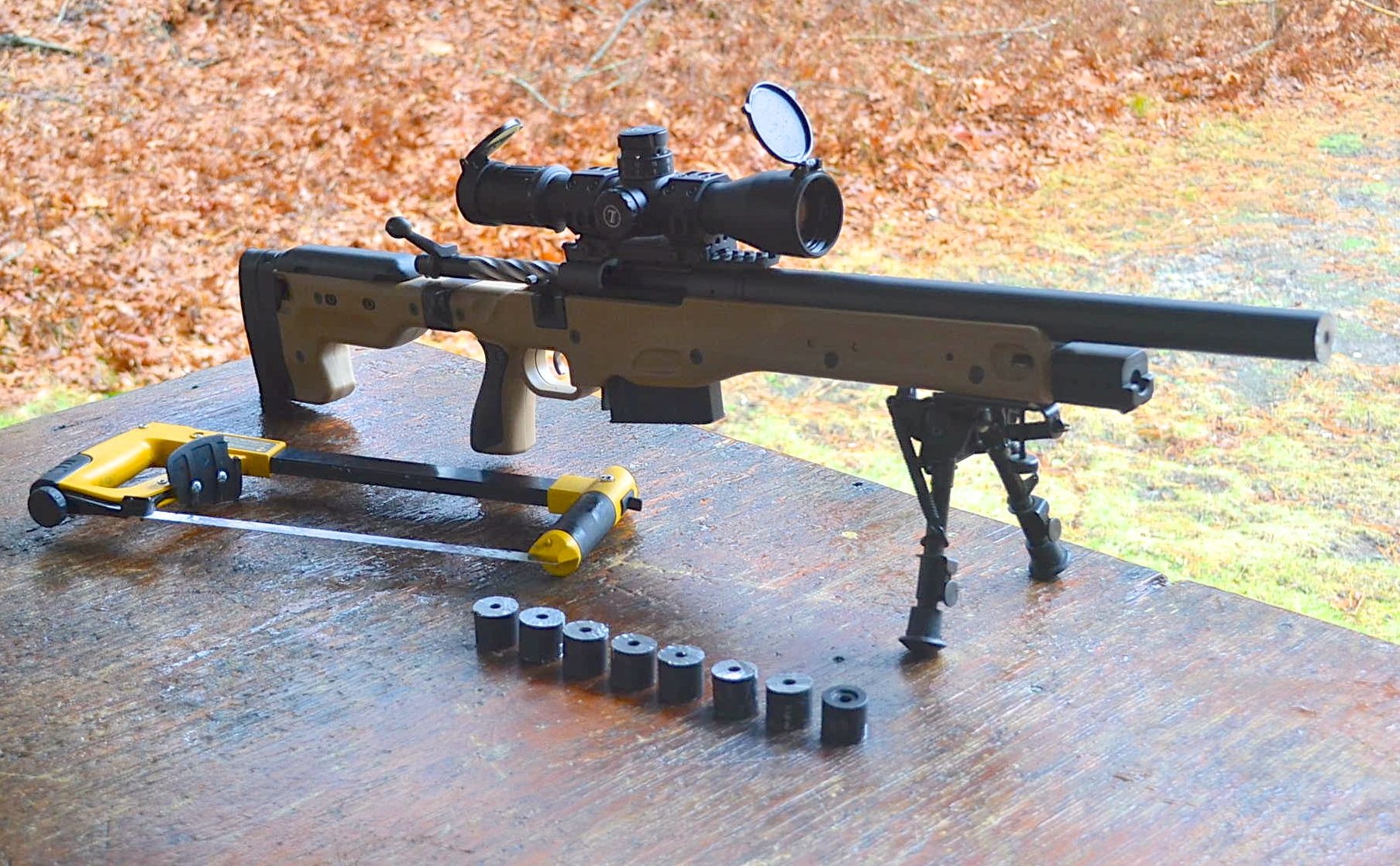 Cho vo tinh ban chu bang sung tieu lien hinh anh