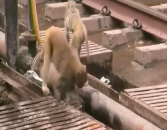 Khi cuu ban bat tinh vi dien giat hinh anh