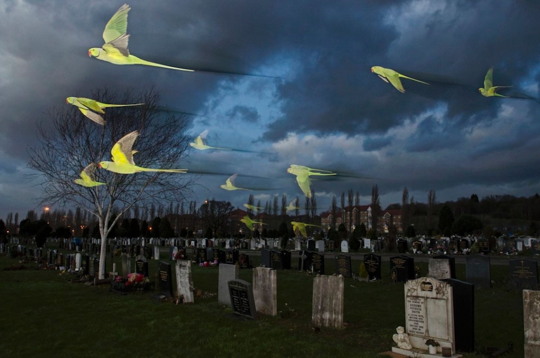 Nhập mô tả cho 1