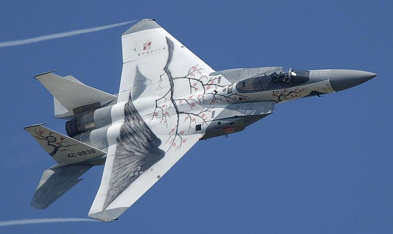 Tiem kich F-15J son mau hoa anh dao tuyet dep hinh anh