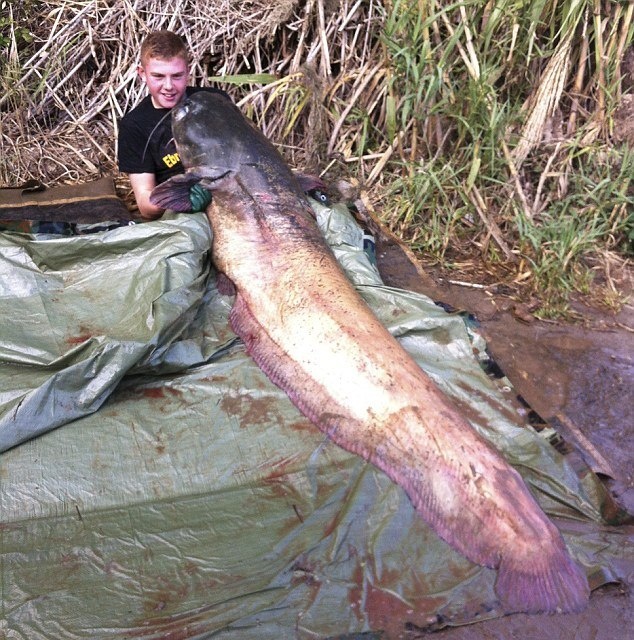 Thieu nien khuat phuc 'thuy quai da tron' hinh anh