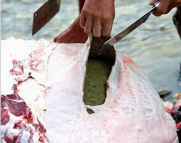 Quy trinh che bien lau phan bo hinh anh