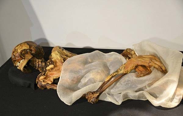 Nhung dieu la ve xac uop cong chua bi an tai Nga hinh anh