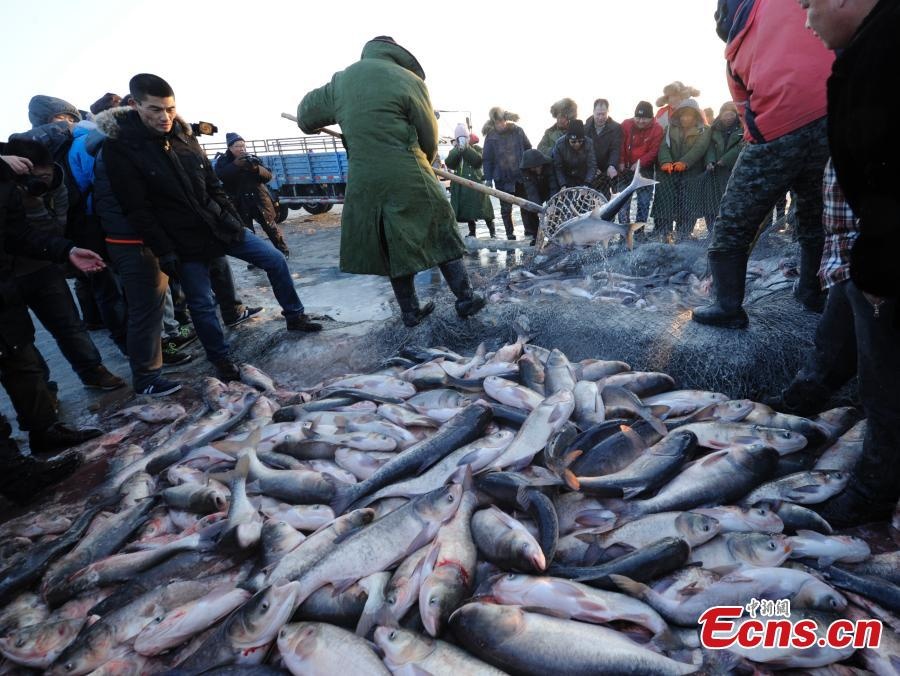 Hồ Sát Hãn là nơi duy nhất tại Trung Quốc mà người dân vẫn còn áp dụng cách câu cá trên băng của người Mông Cổ thời xưa. 