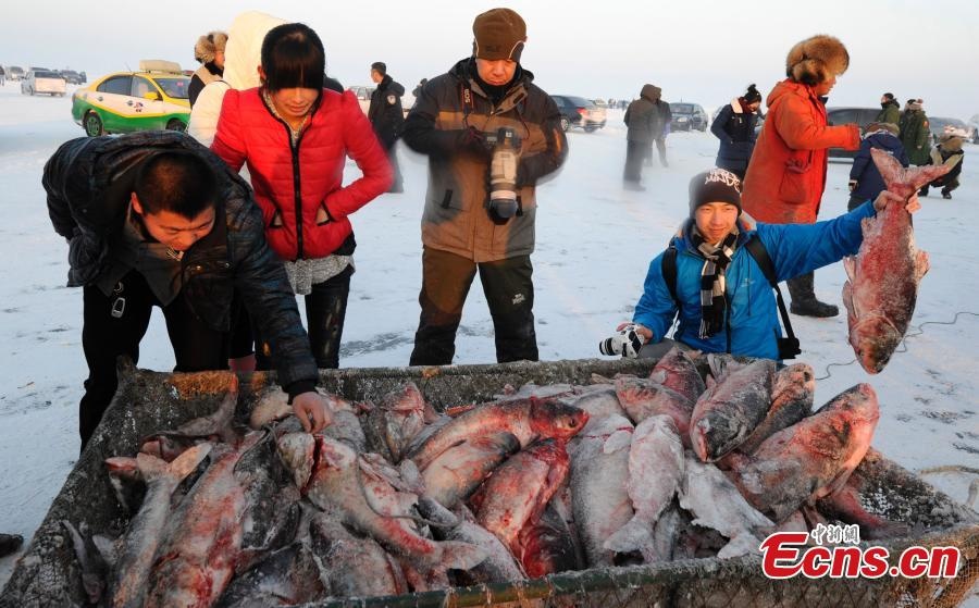 Người dân chọn những con cá mà ngư dân bắt trên băng.