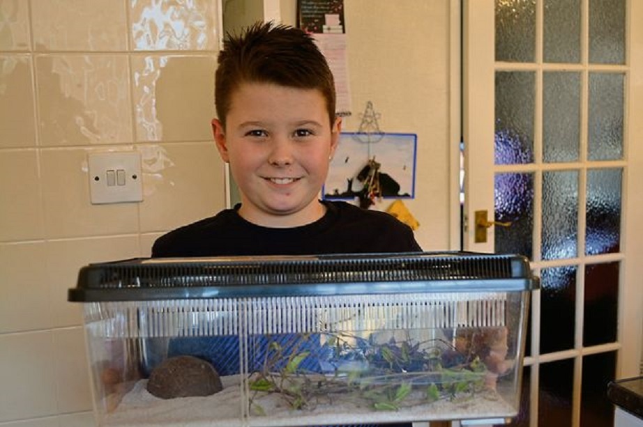 Hanh trinh tu Tay Ban Nha sang xu Wales cua mot tac ke hinh anh