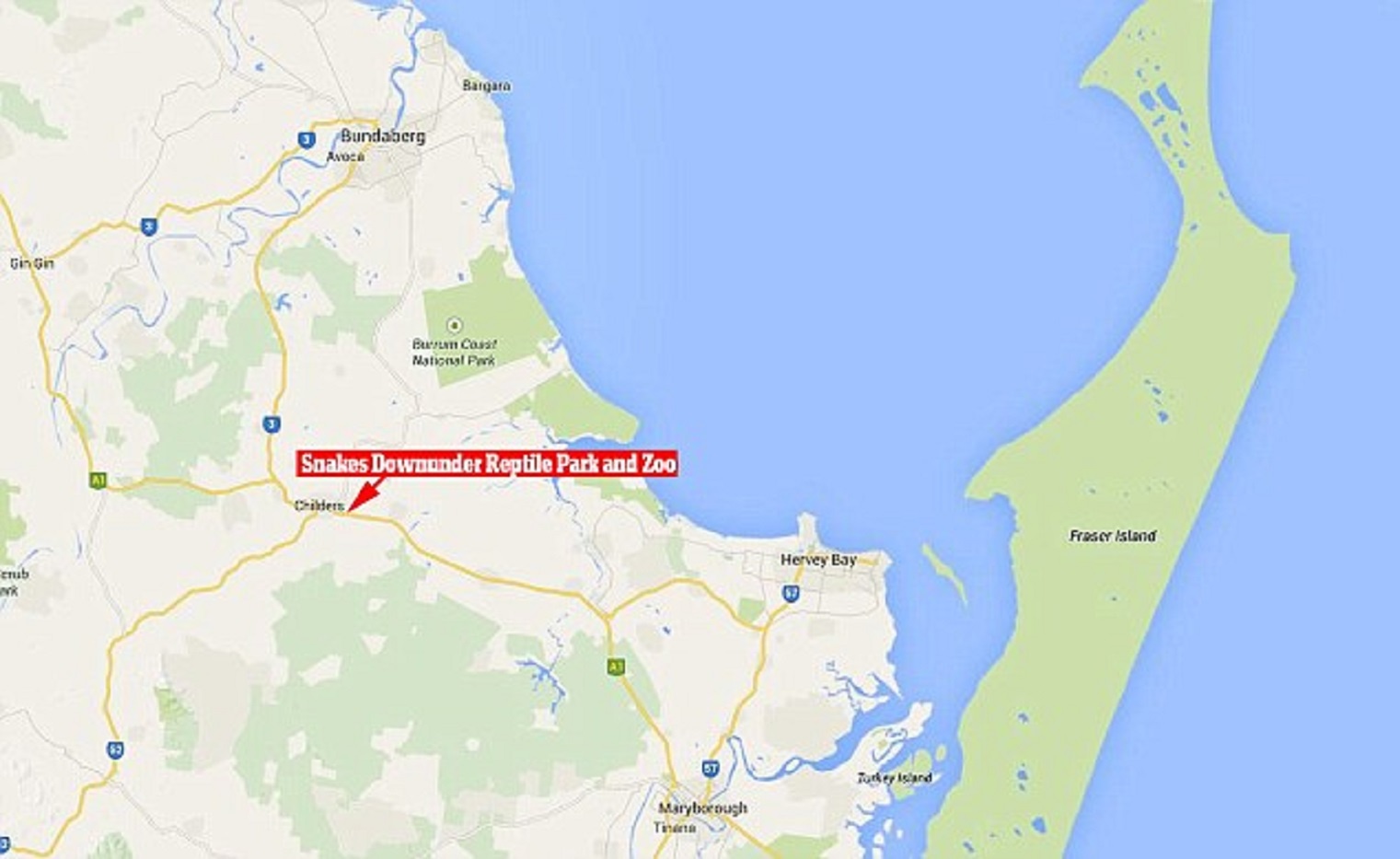 Các nhân viên khác nhanh chóng xuất hiện, cứu ông chủ sở thú khói hàm cá sấu và gọi cấp cứu. 