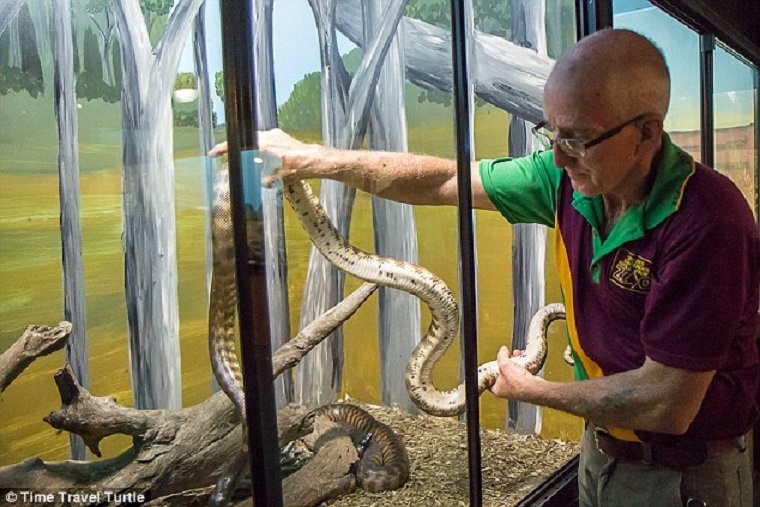 Trên đường đến bệnh viện, bác sĩ tiêm cho ông hai liều thuốc giảm đau liều nặng. Người đàn ông 58 tuổi vẫn tỉnh táo và rối rít xin lỗi các nhân viên y tế vì đã “gây ra chuyện ầm ĩ như vậy”.