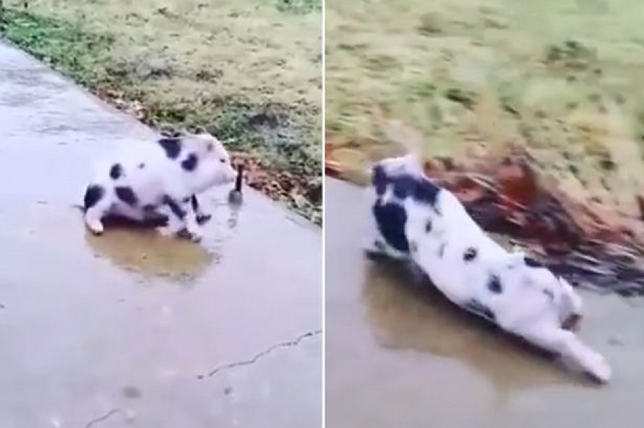 Lon truot chan, nga lien tuc tren duong dong bang hinh anh