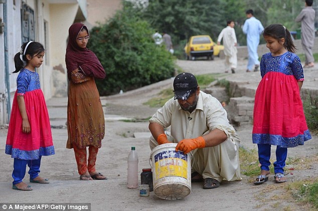Naseer Ahmad, một người đàn ông trong độ tuổi tứ tuần, trở thành vị cứu tinh trong thành phố nhờ tài bắt chuột. 