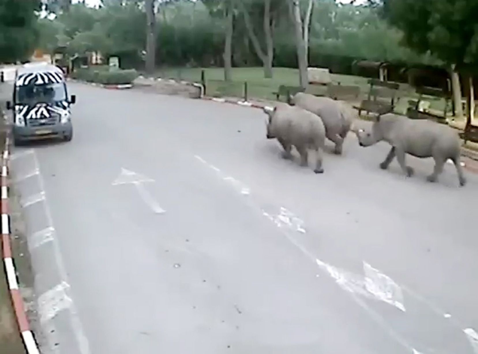 Te giac dan hai ban tron khoi khu bao ton hinh anh