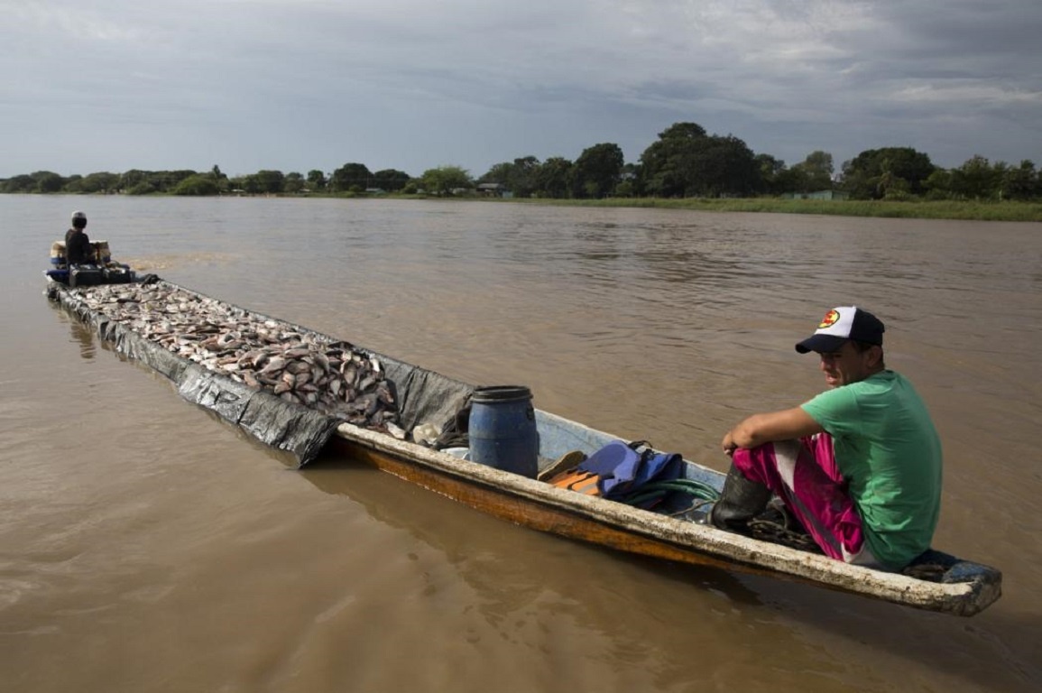 Nhập mô tả chqo ảnh